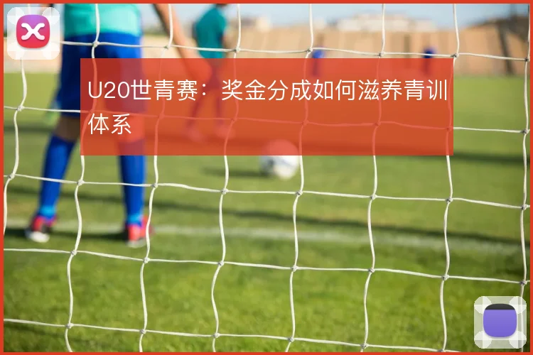 U20世青赛:奖金分成如何滋养青训体系