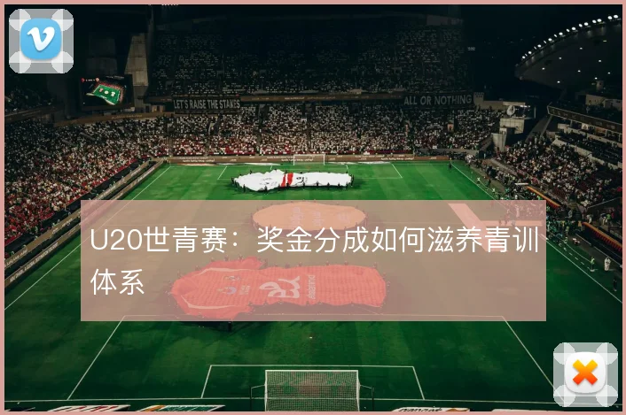 U20世青赛:奖金分成如何滋养青训体系