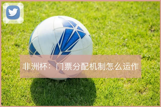 非洲杯：门票分配机制怎么运作